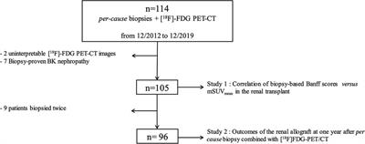 The uptake of [18F]-fluorodeoxyglucose by the renal allograft correlates with the acute Banff scores of cortex inflammation but not with the 1-year graft outcomes